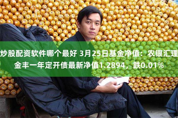 炒股配资软件哪个最好 3月25日基金净值：农银汇理金丰一年定开债最新净值1.2894，跌0.01%