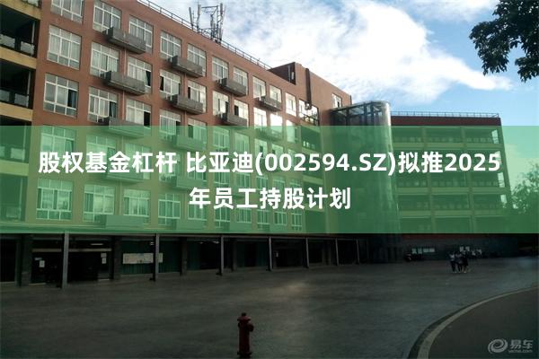 股权基金杠杆 比亚迪(002594.SZ)拟推2025年员工持股计划