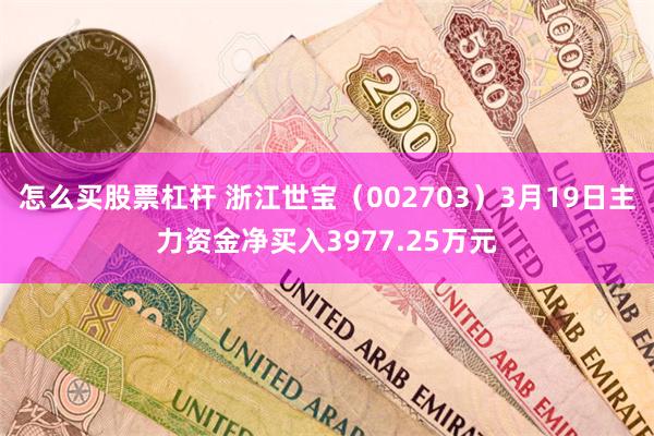 怎么买股票杠杆 浙江世宝（002703）3月19日主力资金净买入3977.25万元