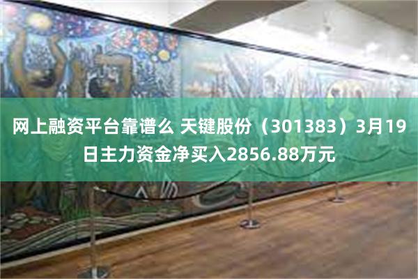 网上融资平台靠谱么 天键股份（301383）3月19日主力资金净买入2856.88万元