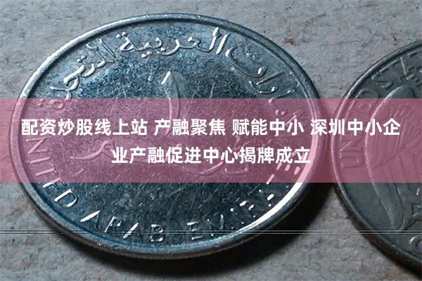 配资炒股线上站 产融聚焦 赋能中小 深圳中小企业产融促进中心揭牌成立