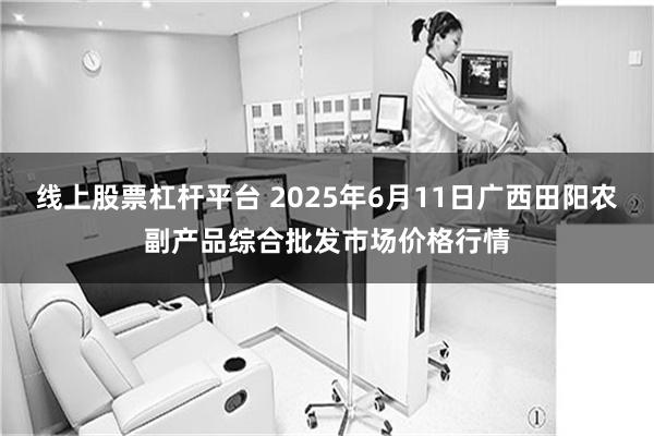 线上股票杠杆平台 2025年6月11日广西田阳农副产品综合批发市场价格行情