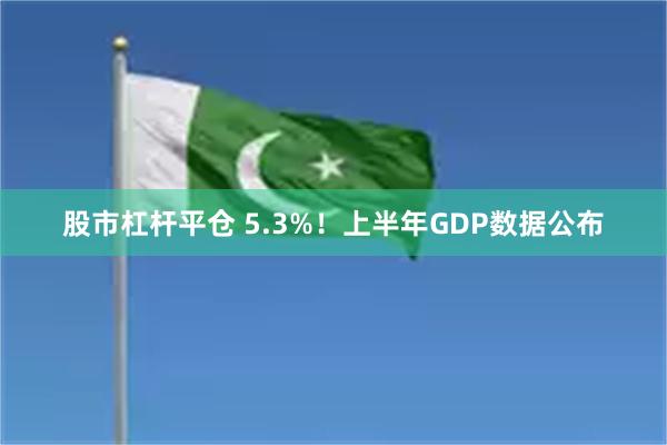 股市杠杆平仓 5.3%！上半年GDP数据公布
