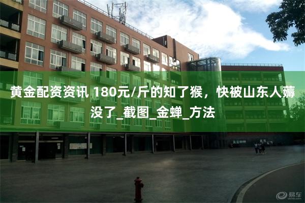 黄金配资资讯 180元/斤的知了猴，快被山东人薅没了_截图_金蝉_方法